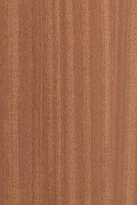 Sapele